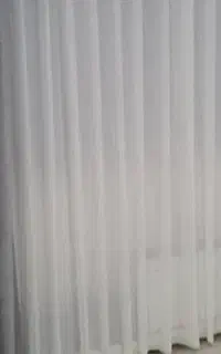 کلگسیون