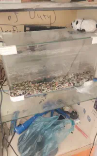 اکواریوم شیشه خم