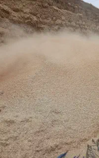 فروش کاه خورده