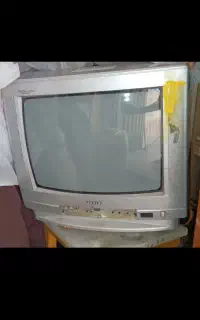 تلویزیون