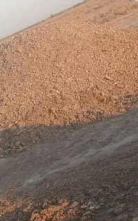 کود مرغی تخمی و گوشتی