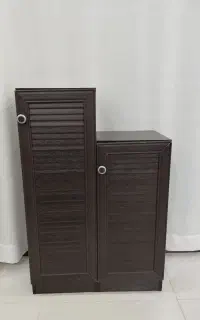 دو عدد جاکفشی