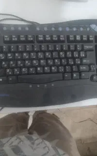 کیبورد و صفحه کلید کامپیوتر