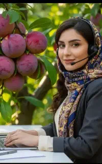 فروش نهال گردو بادام سیب گیلاس بیدمجنون به گلدانی