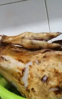 سوزاندن کله پاچه