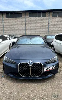 اسب وحشی باواریا در کف حسن رود