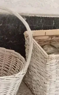 سبد
