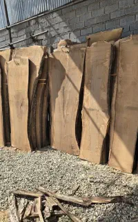 فروش انواع چوب جنگلی و خارجی