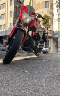 دینو z2