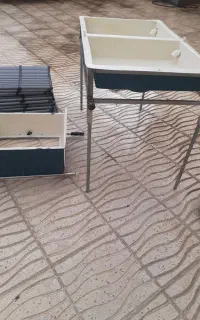 دستگاه سورتر ماهی قزل آلا