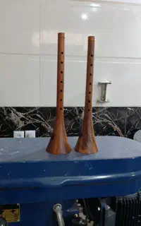 سرنا شهباز