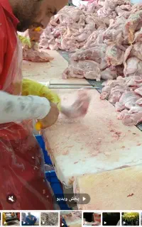 نیروی کار مرغ