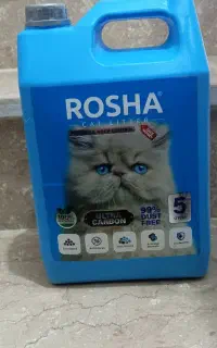 خاک بستر گربه