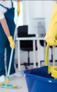 نظافت و اساس کشی