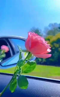 کار و درآمد برای بانوان خانه دار