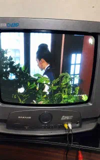 تلویزیون ۱۴  اینچ در حد نو