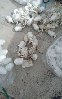 لامپ
