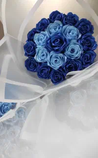 گل رز روبانی