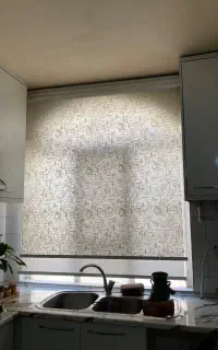 پرده زبرا دو مکانیزم