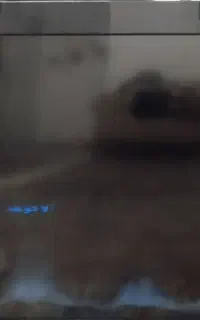 تلویزیون