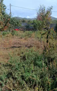 زمین 500 متری در روستای حور