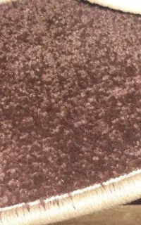 موکوت پرز دار