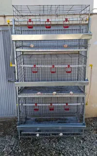 قفس مرغ تخمگذار