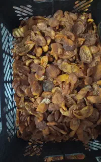 زردالو خشک قیصی خودم خشک کردم هیچ درمانی هم نزدم