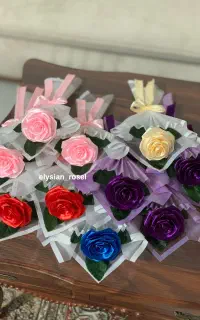 تک‌شاخه های ربانی