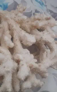 سنگ