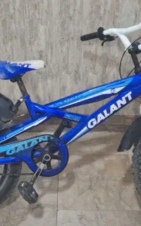 دوچرخه گالانت 20