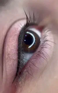 مدل برای فیبروز ابرو ، خط چشم و بن مژه رایگان