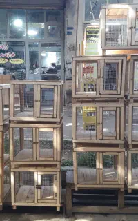 قفس جفت کن چوبی (مرغ،کبوتر)