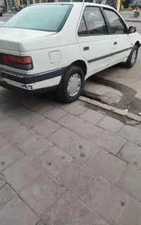 آردی سفید برفی