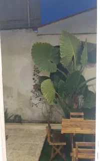 مشارکت در ساخت  دیلمان، بلوار علیزاده