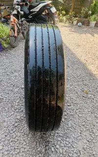 لاستیک تکی