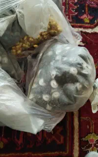 دکمه لباس برای تولیدی