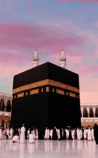 فیش حج