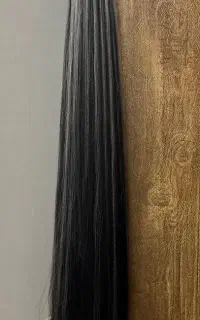 دم اسبی
