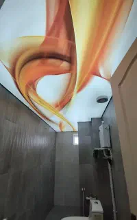 نیروی کار جهت سقف کشسان