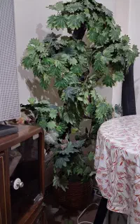 درختچه مصنوعی با تنه درخت
