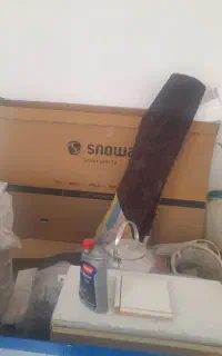 تلویزیون