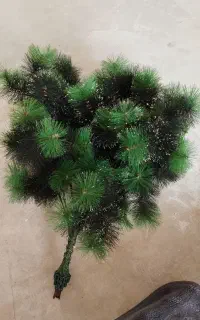 گل معصنوعی  کاکتوس نونو