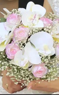 نذر عروسی
