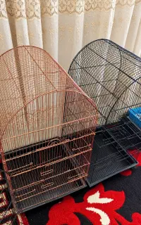 قفس پرنده