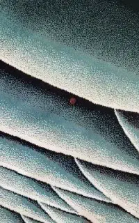 فرش سه بعدی