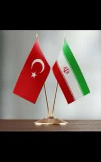 ۵ نفر کار چوب بری در ترکیه