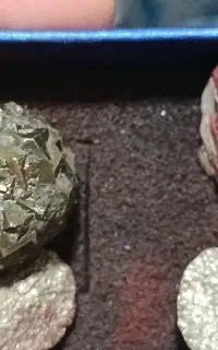 اذرین درونی