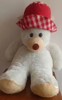 عروسک خرسی