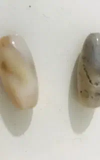مهره قدیمی